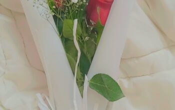 معلمة انجليزي ورياضيات الدمام 0966577932353