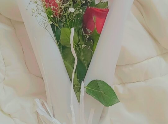 معلمة انجليزي ورياضيات الدمام 0966577932353
